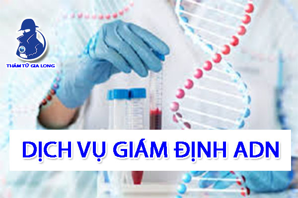 Những câu hỏi thường gặp về dịch vụ giám định AND